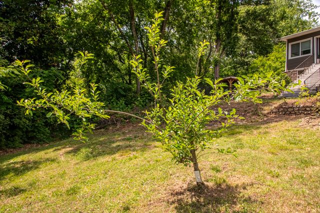811 Poindexter Avenue, Chattanooga, TN 37412
