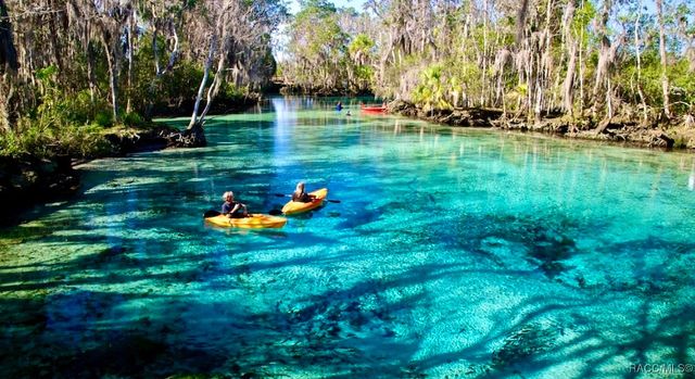 6705 W Park Drive, Homosassa, FL 34446