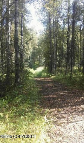 A002 No Road, Big Lake, AK 99652