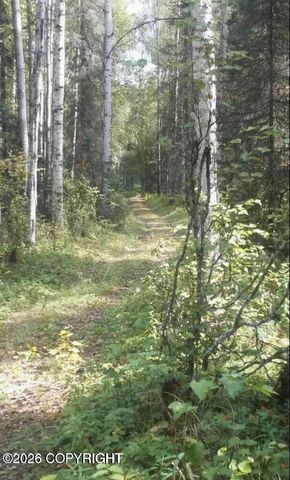 A002 No Road, Big Lake, AK 99652