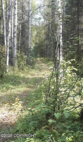 A002 No Road, Big Lake, AK 99652