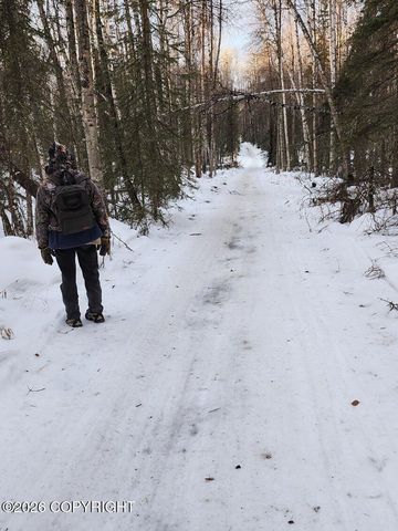 A002 No Road, Big Lake, AK 99652