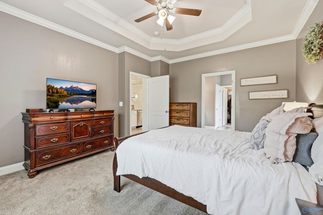 264 Falcon Ridge Drive, New Market, AL 35761