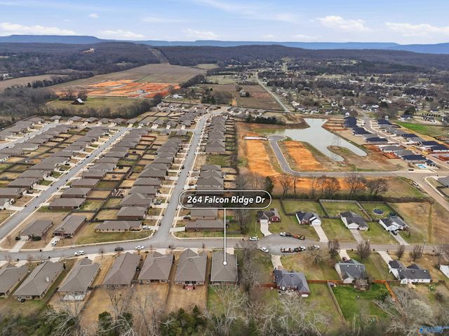 264 Falcon Ridge Drive, New Market, AL 35761