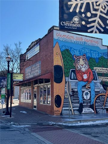 110 N Clemson Avenue 10, Clemson, SC 29631