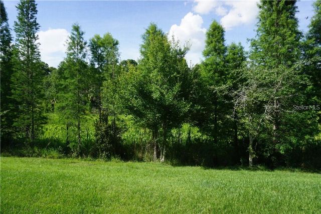 26543 CASTLEVIEW WAY, Wesley Chapel, FL 33544