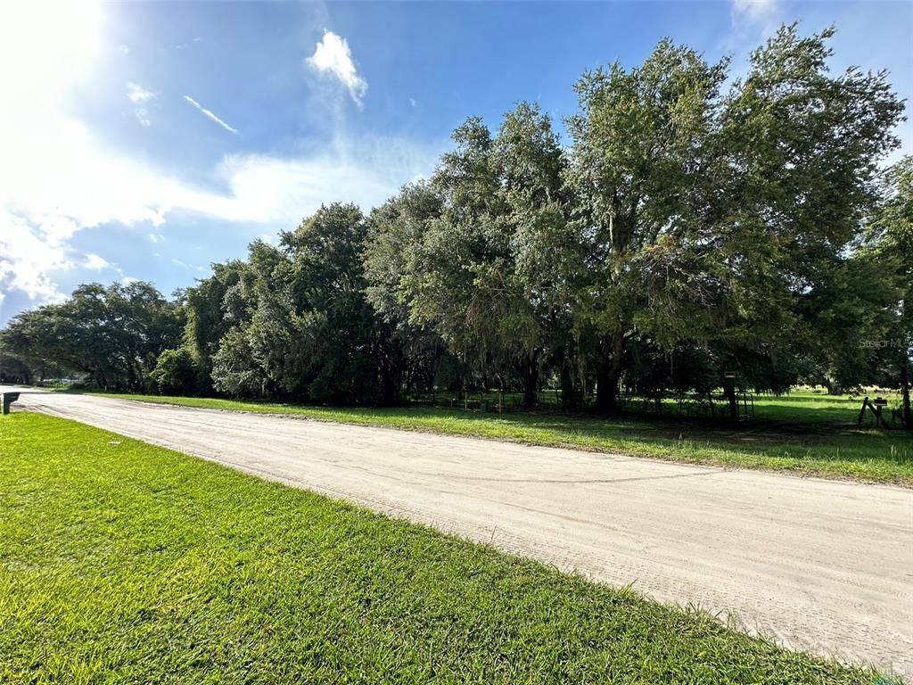 MCKENDREE ROAD, Wesley Chapel, FL 33545