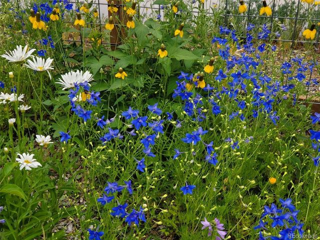 1302 I Street, Salida, CO 81201