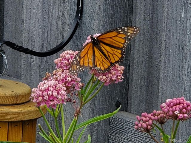 1302 I Street, Salida, CO 81201