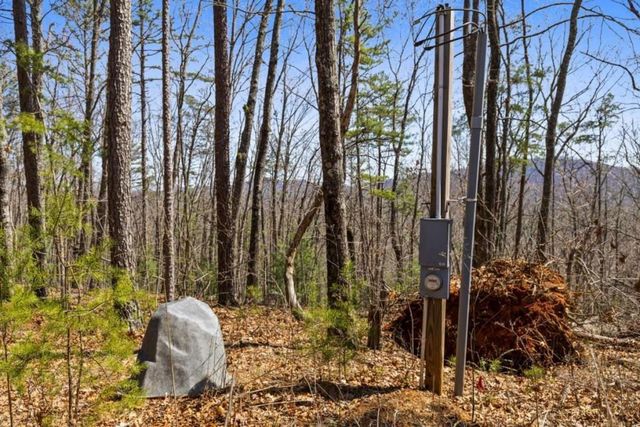 40A Synacia Road, Mineral Bluff, GA 30559