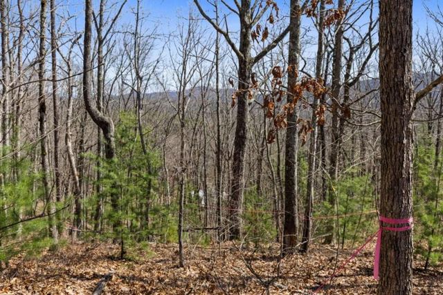 40A Synacia Road, Mineral Bluff, GA 30559