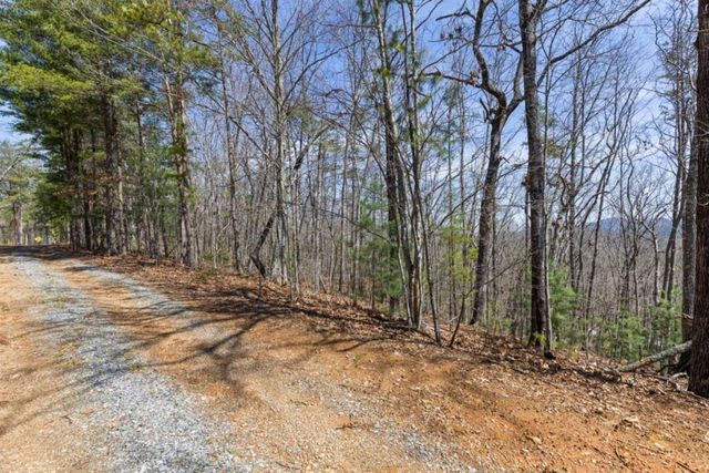 40A Synacia Road, Mineral Bluff, GA 30559