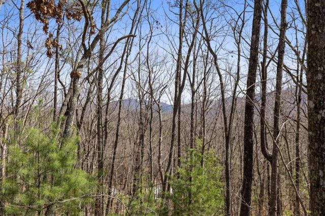 40A Synacia Road, Mineral Bluff, GA 30559