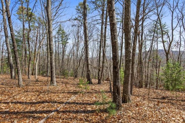 40A Synacia Road, Mineral Bluff, GA 30559