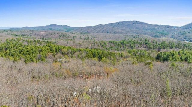 40A Synacia Road, Mineral Bluff, GA 30559