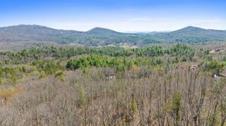 40A Synacia Road, Mineral Bluff, GA 30559