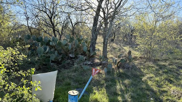 1250 Spanish Oaks BLVD, Lockhart, TX 78644