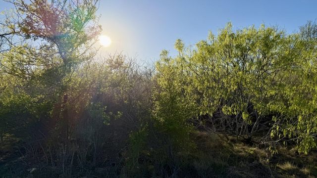 1250 Spanish Oaks BLVD, Lockhart, TX 78644