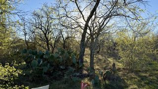 1250 Spanish Oaks BLVD, Lockhart, TX 78644