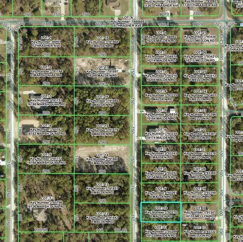 MALDEN ROAD, Weeki Wachee, FL 34614