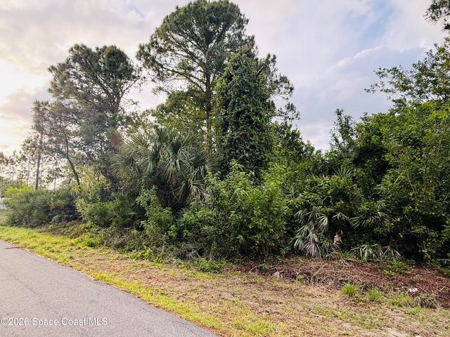 0000 Thames Street SE, Palm Bay, FL 32909
