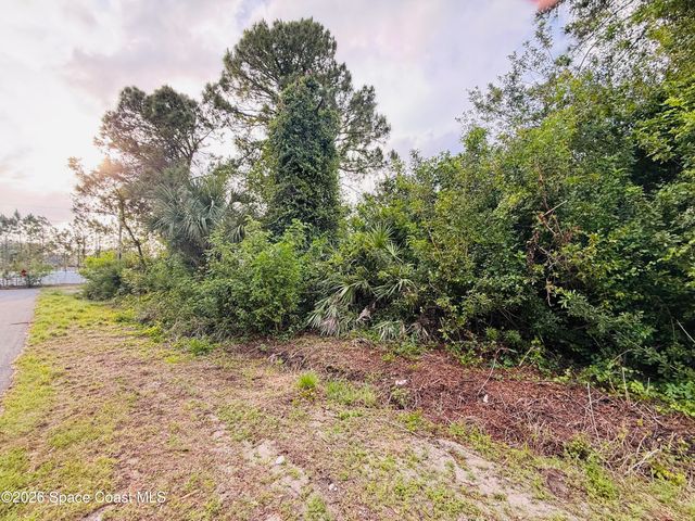 0000 Thames Street SE, Palm Bay, FL 32909