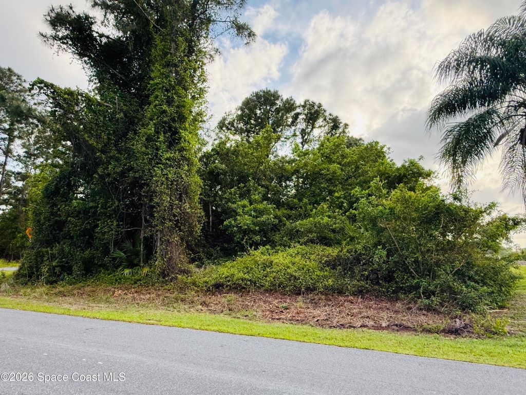 0000 Thames Street SE, Palm Bay, FL 32909