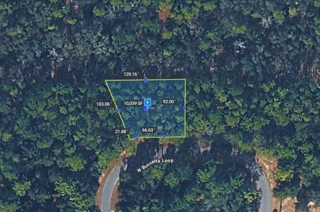 8754 N BUSCETTA LOOP, Crystal River, FL 34428