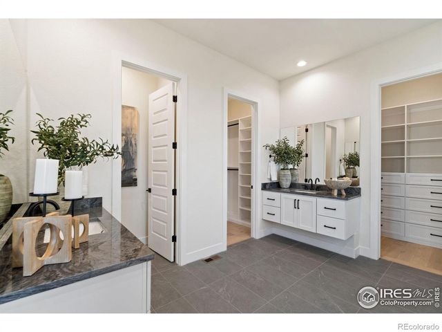 1716 Branching Canopy Drive, Windsor, CO 80550