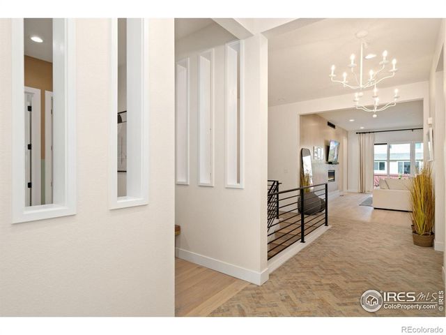 1716 Branching Canopy Drive, Windsor, CO 80550