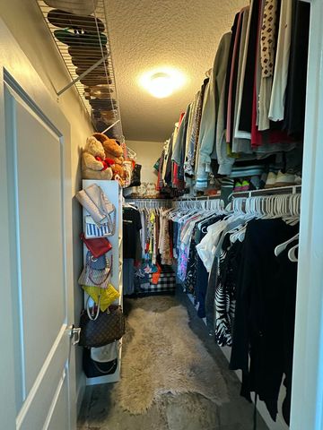 19533 Wheelbarrow Bend, The Acreage, FL 33470