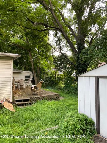 209 Mineral Street, Grand Ledge, MI 48837