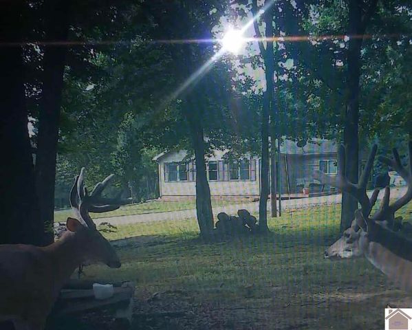 13492 State Route 94 E, Murray, KY 42071