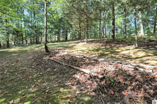 13492 State Route 94 E, Murray, KY 42071