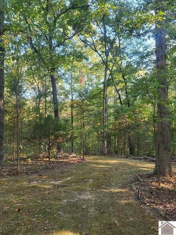 13492 State Route 94 E, Murray, KY 42071