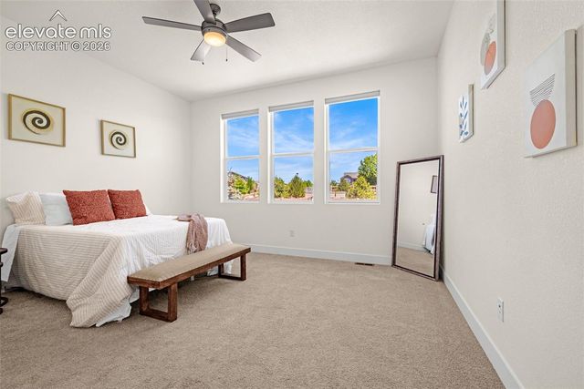6202 Rowdy Drive, Colorado Springs, CO 80924