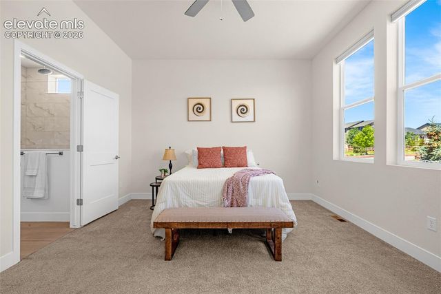 6202 Rowdy Drive, Colorado Springs, CO 80924