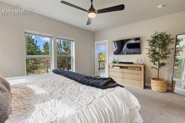1110 Highlands Court, Woodland Park, CO 80863