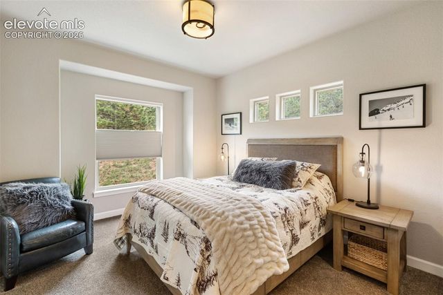 1110 Highlands Court, Woodland Park, CO 80863
