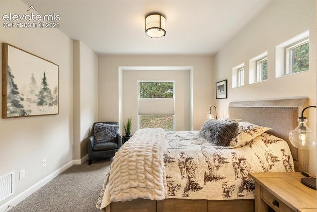 1110 Highlands Court, Woodland Park, CO 80863