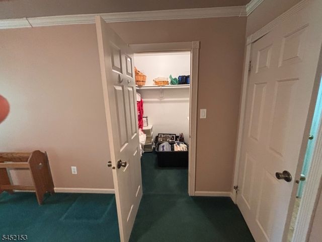 17 Choctaw Ridge Rd, Branchburg Twp., NJ 08876
