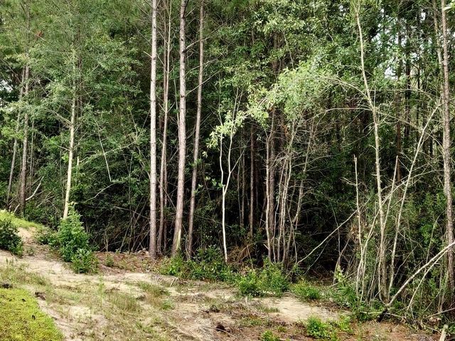 4750 Huckleberry Ln., Conway, SC 29526