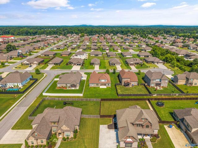 22529 Oakdale Ridge Lane, Athens, AL 35613