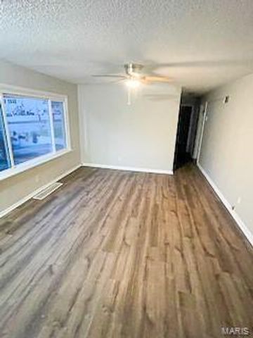 3524 Theresa Avenue, St Ann, MO 63074