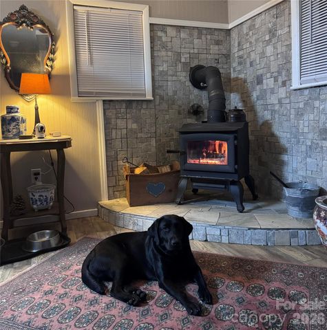 450 W Piney Mountain Road, Whittier, NC 28789