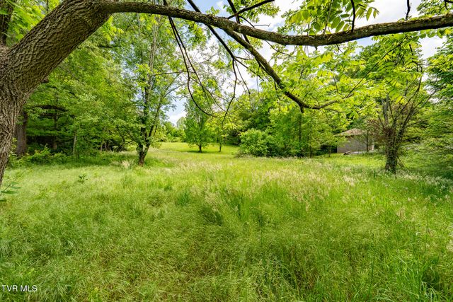 Tbd West Walnut Street, Johnson City, TN 37604