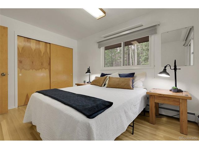 29958 Conifer Mountain Dr, Conifer, CO 80433