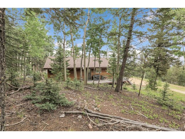29958 Conifer Mountain Dr, Conifer, CO 80433