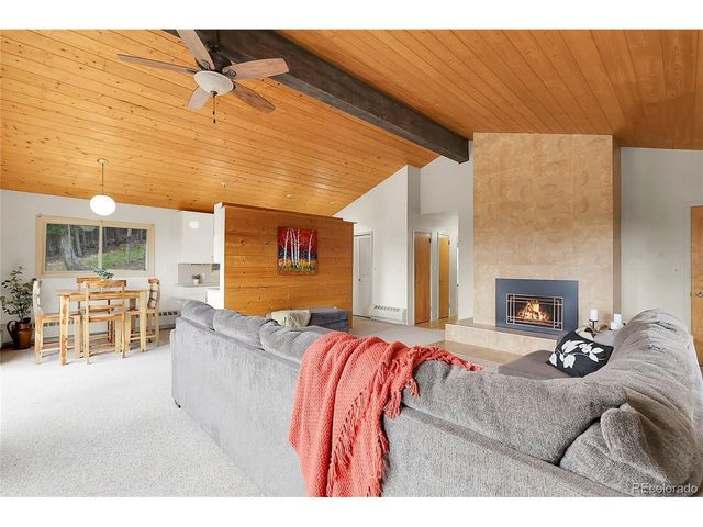 29958 Conifer Mountain Dr, Conifer, CO 80433