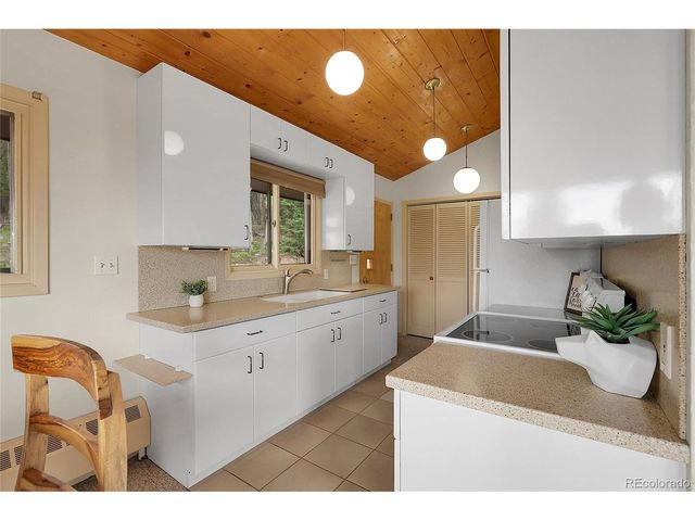 29958 Conifer Mountain Dr, Conifer, CO 80433